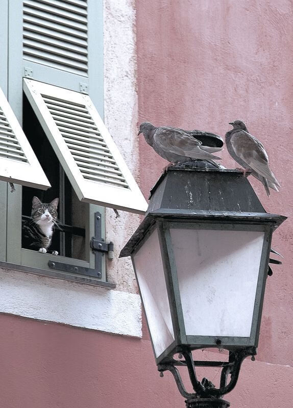 AI技术在游戏中的应用：智能NPC与自适应难度，游戏npc人工智能