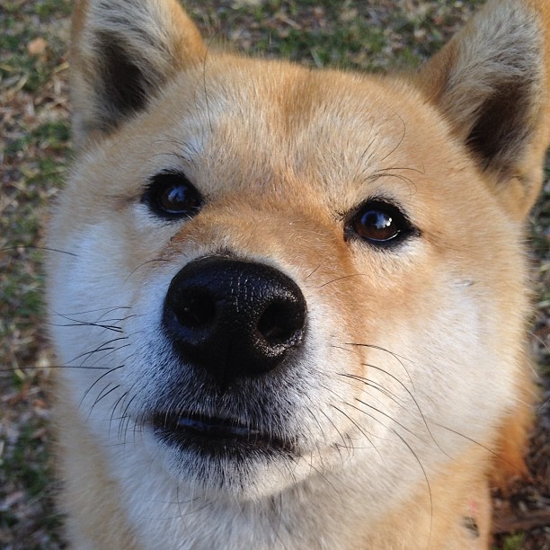 _全场焦点:精彩瞬间持续刷屏_,全场焦点的句子