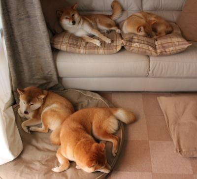 “嗨翻全场：最热血的比赛场面盘点”，热血比赛文案