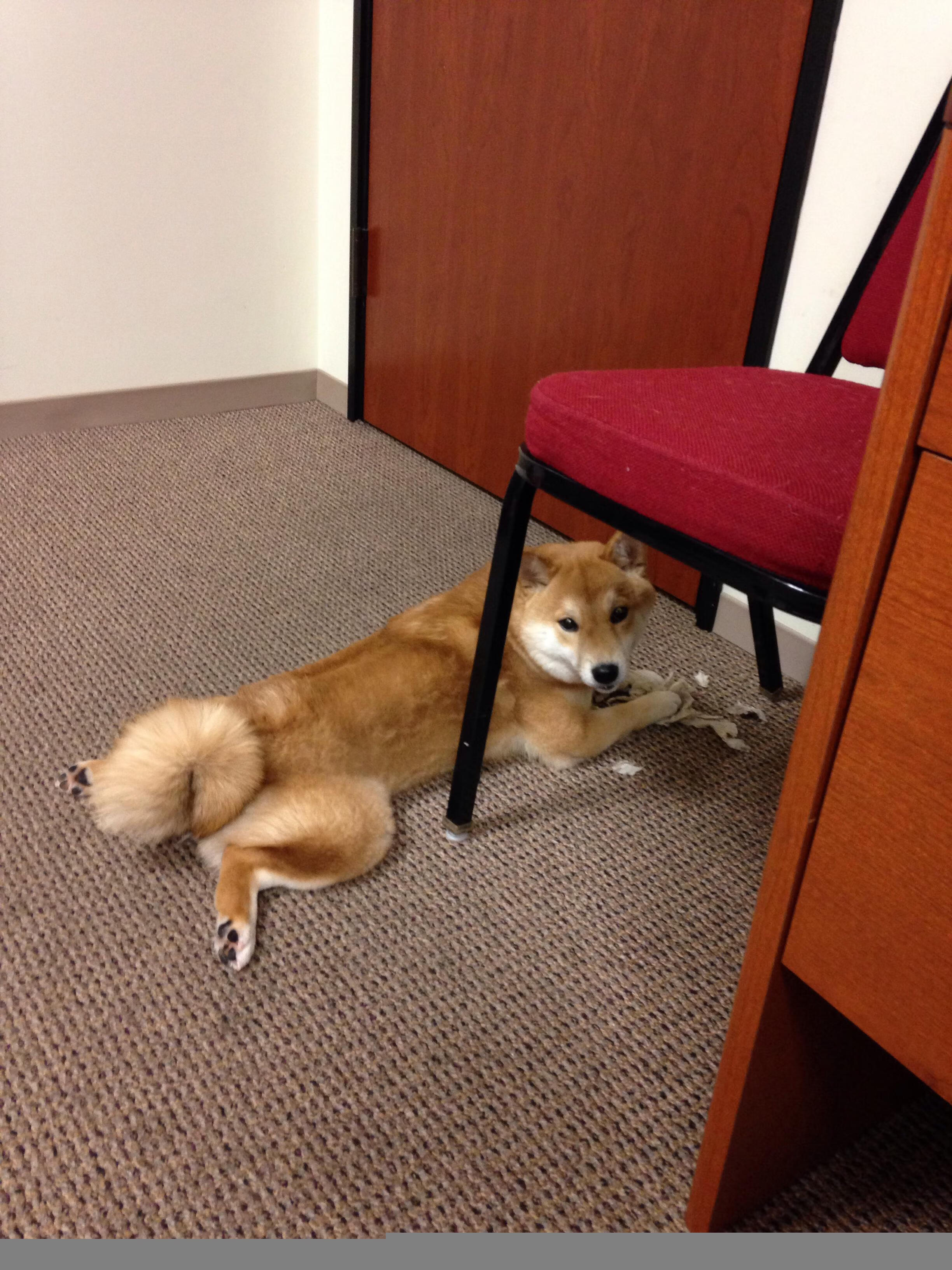 切尔西调整阵型，战术革新带来新活力，切尔西2021赛季阵型图